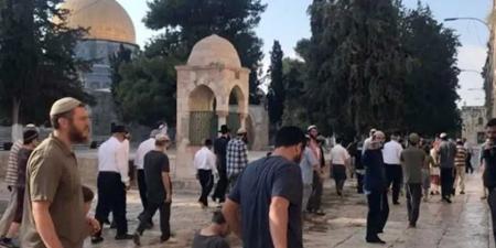 الكويت
تدين
اقتحام
مستوطنين
للمسجد
الأقصى
والاعتداء
على
مسجد
بالضفة