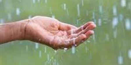 بالبلدي: علماء
الأزهر:
الشتاء
موسم
للطاعة
والغنائم
الروحية..
والصيام
فيه
"غنيمة
باردة"