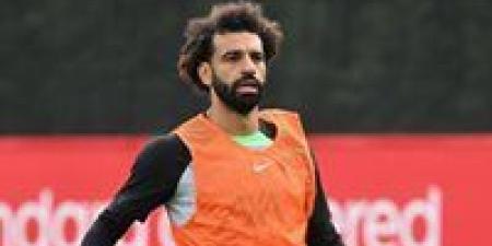 بالبلدي : ليفربول
يحسم
موعد
انضمام
محمد
صلاح
لمعسكر
الفراعنة
قبل
أمم
أفريقيا