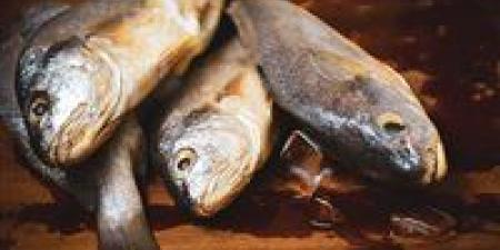 بالبلدي: أسعار
السمك
اليوم
الإثنين
17
-
11
-
2025