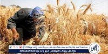 بالبلدي: وزير
      الزراعة
      يعلن
      السعر
      الاسترشادي
      لـ
      أردب
      القمح
      للموسم
      الجديد
      2026