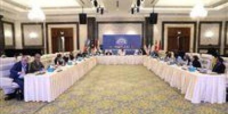 بالبلدي: مصر
تستعرض
إنجازاتها
في
التحول
الرقمي
في
اجتماع
وزراء
صحة
مجموعة
D-8