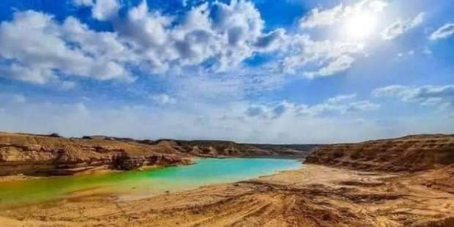 ألوان الوطن | معلومات عن محمية وادي دجلة.. أكبر كنوز مصر الطبيعية «صور» "بالبلدي"