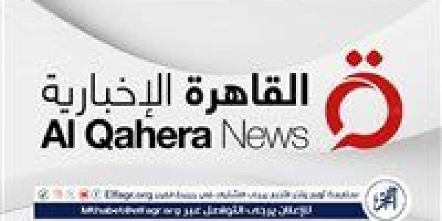 بالبلدي: القاهرة
      الإخبارية:
      إقبال
      ملحوظ
      من
      المصريين
      في
      السعودية
      للإدلاء
      بأصواتهم
      في
      انتخابات
      النواب