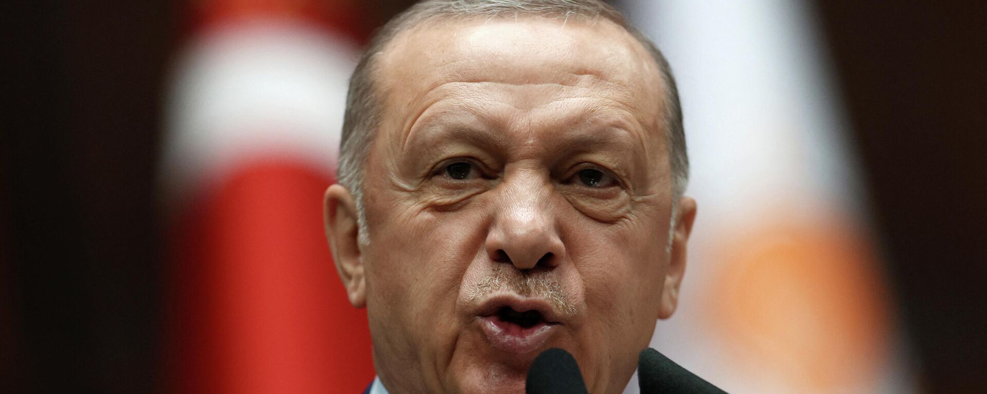 الرئيس التركي، رجب طيب أردوغان - سبوتنيك عربي, 1920, 09.06.2022