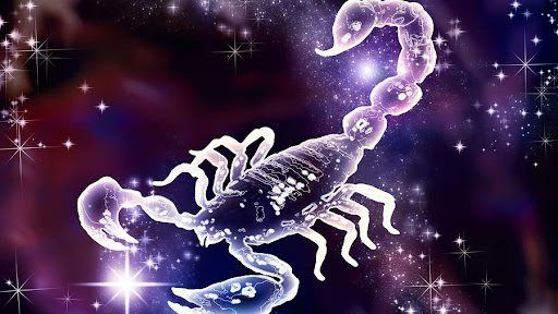 c3cf6f4ed8.jpg