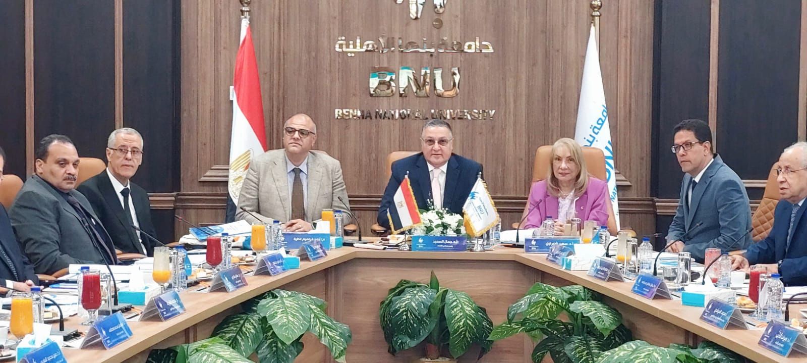 مجلس جامعة بنها الاهلية