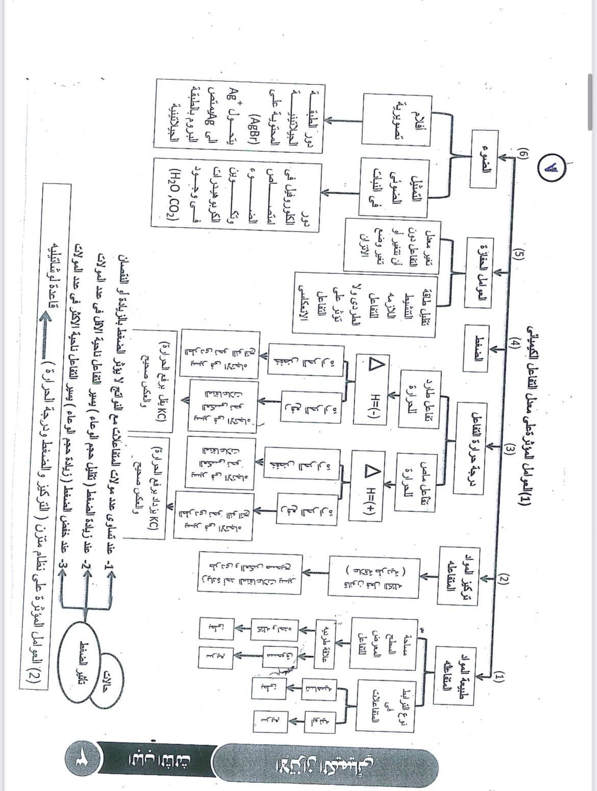 67a216f42e.jpg