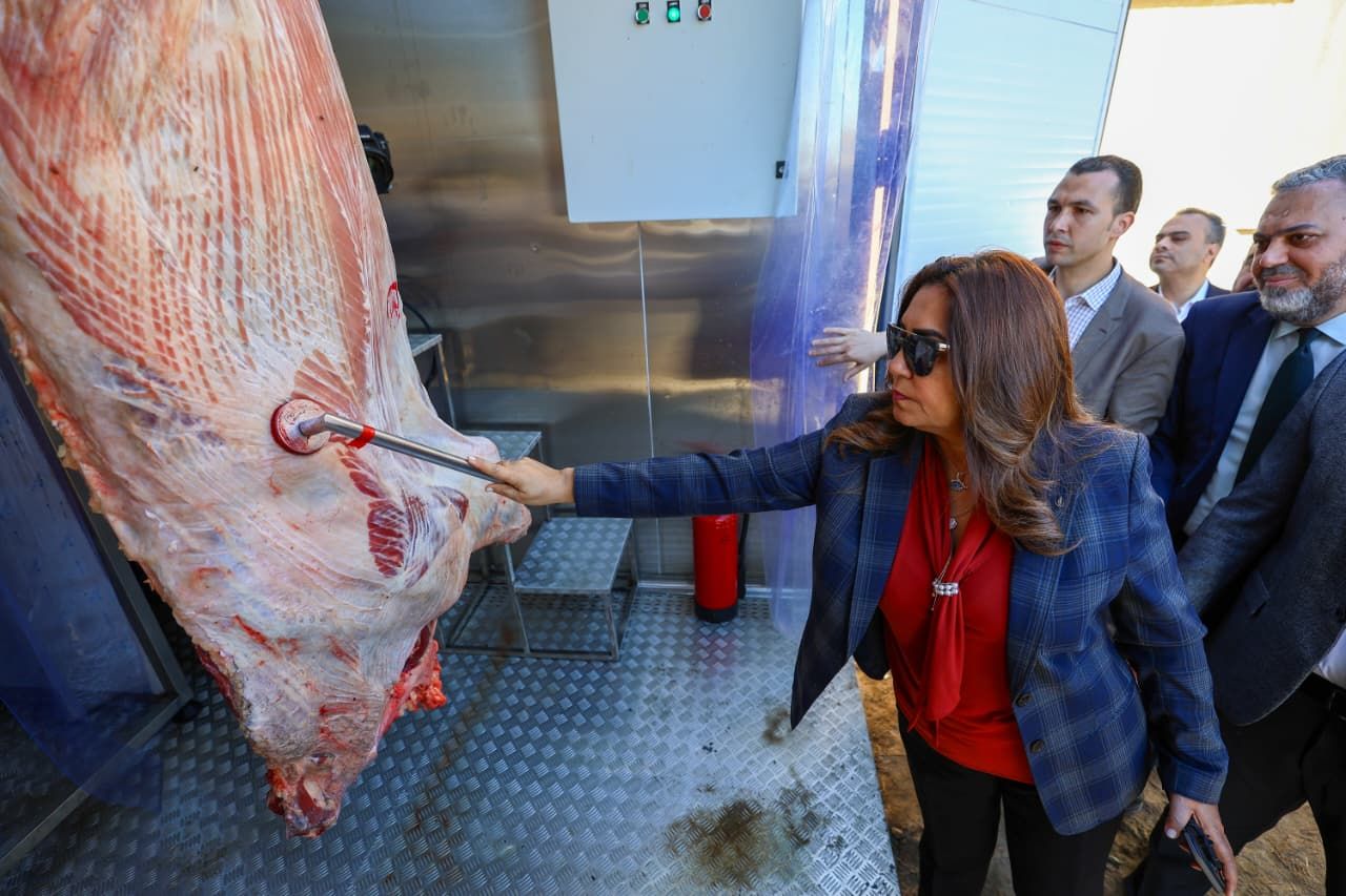 وزيرة التنمية المحلية تتفقد المجزر