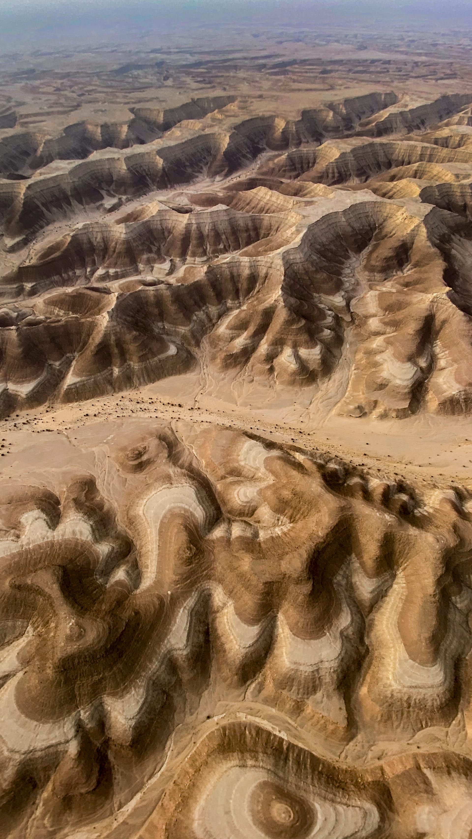 وادي الدواسر