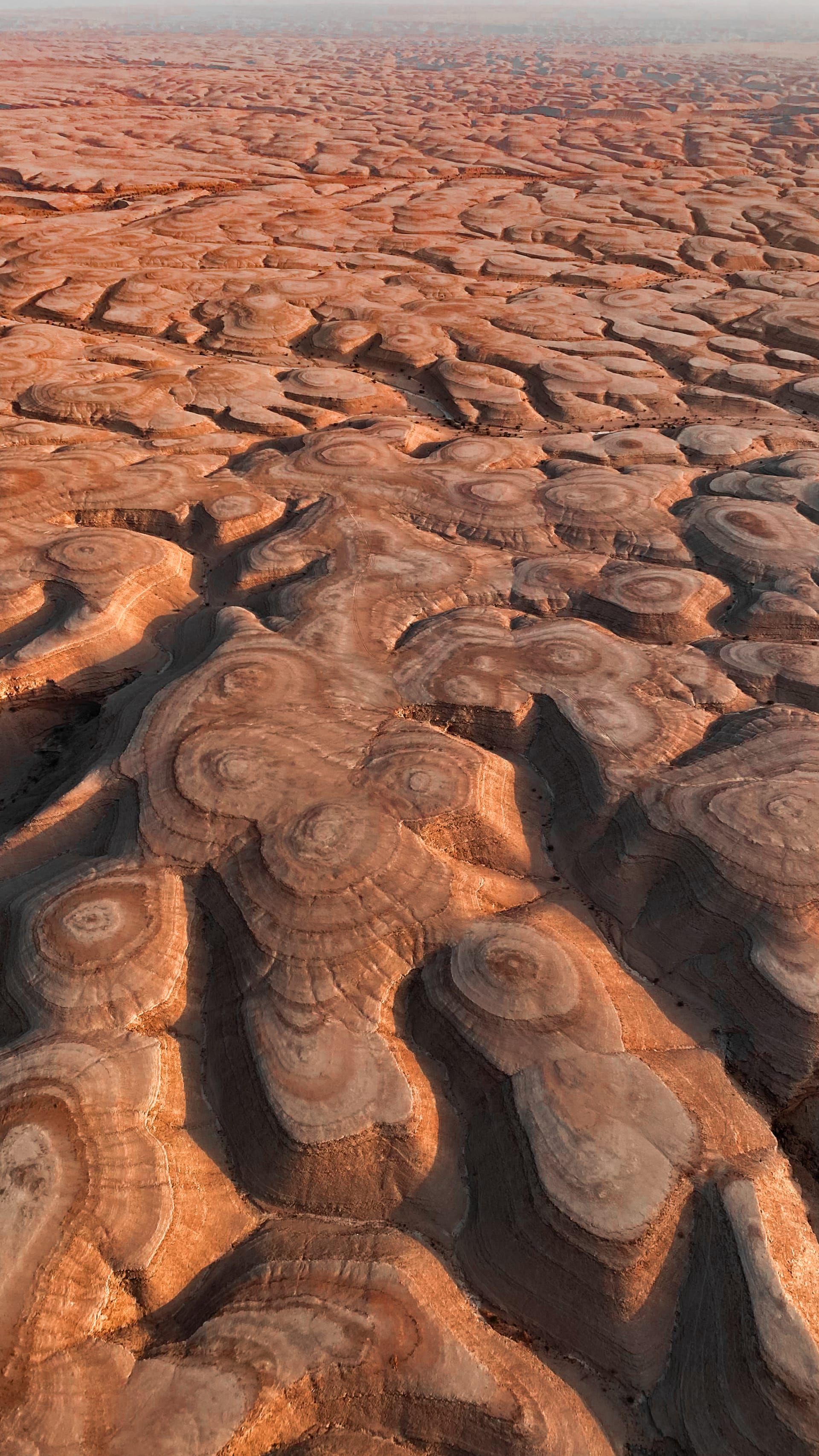 وادي الدواسر