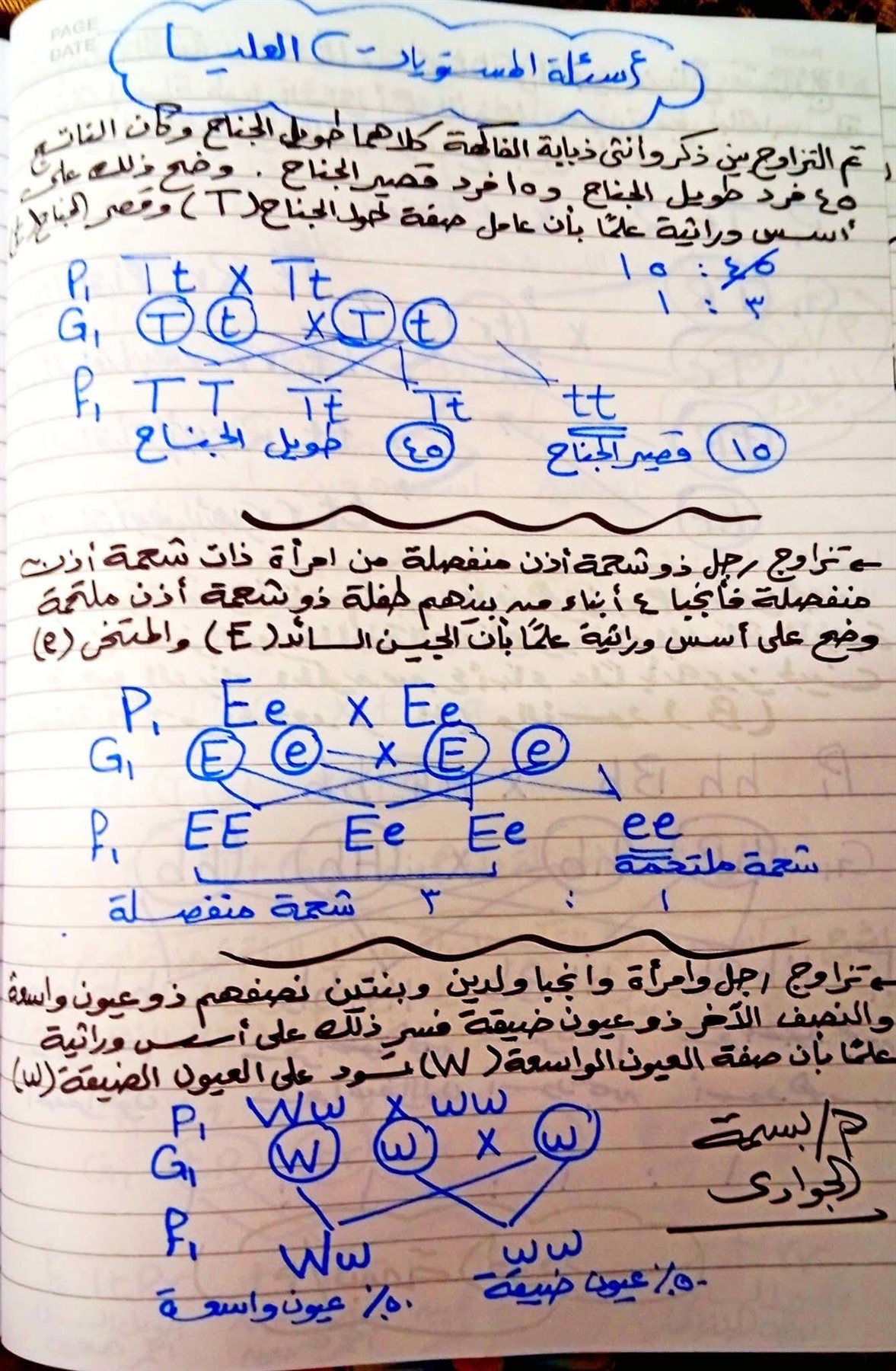 4023ea6528.jpg