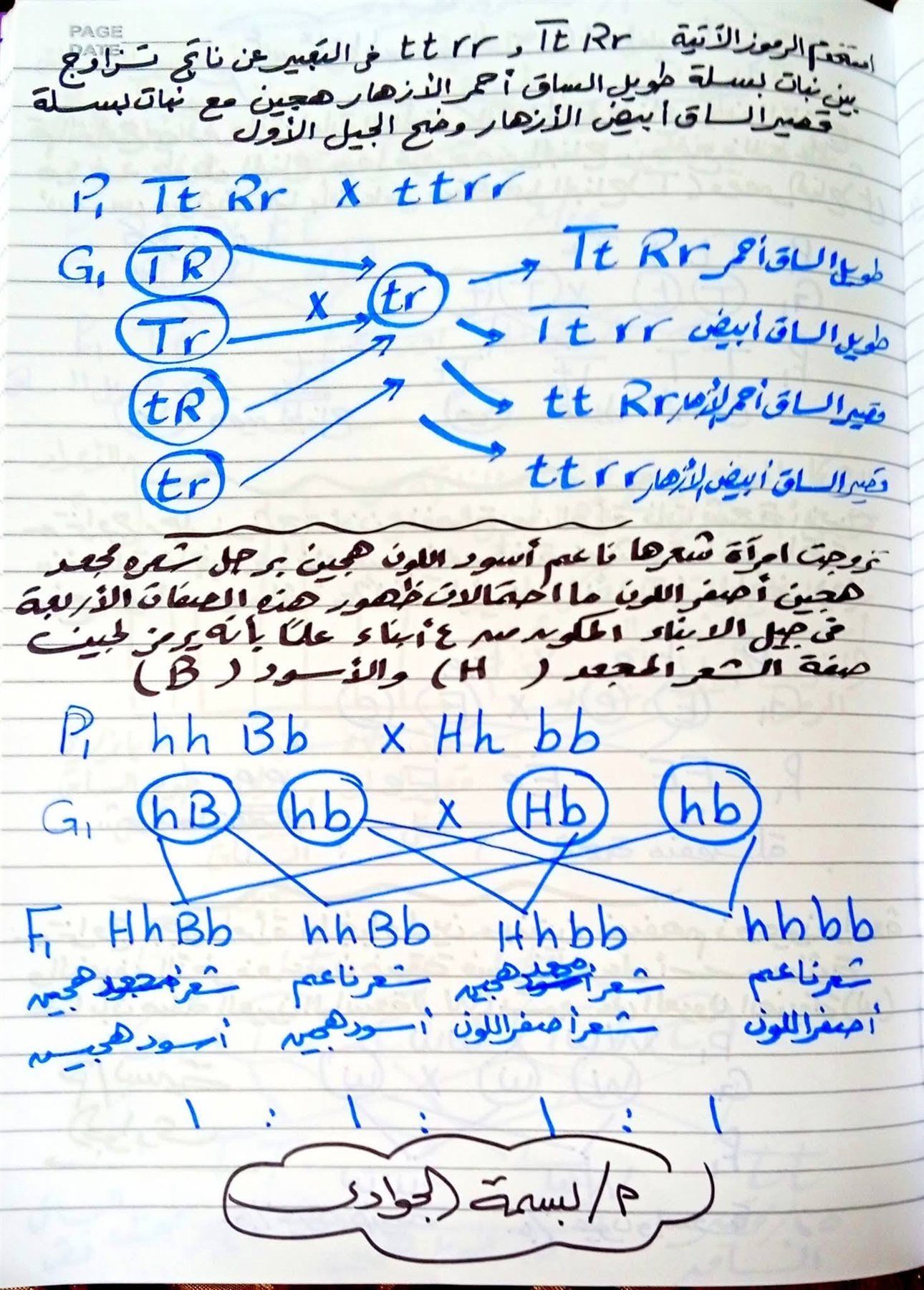 d6d2b372c8.jpg