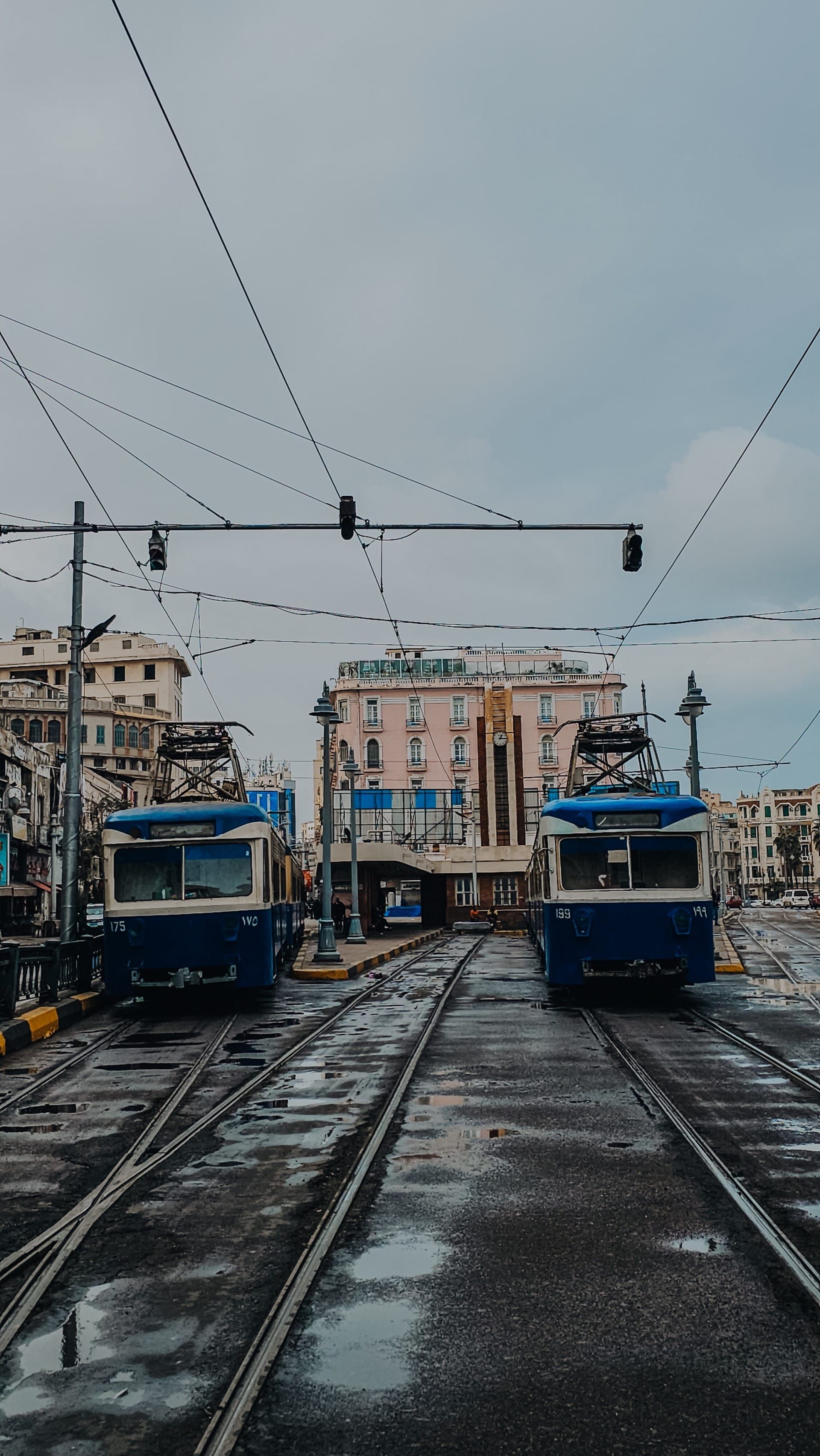 ترام الإسكندرية