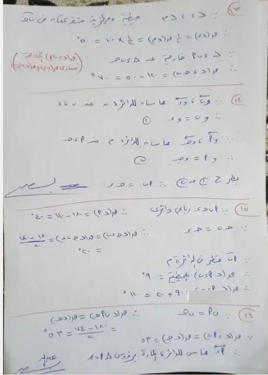 e9817e6e06.jpg