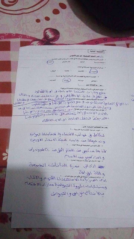 حل امتحان الدرسات 3 إعدادي 2026 المنيا الترم الثاني