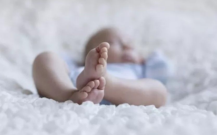 معدلات الإنجاب في مصر