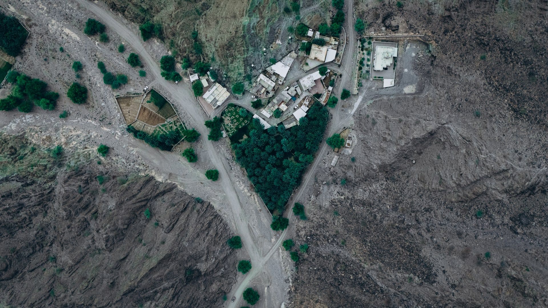 سلطنة عمان