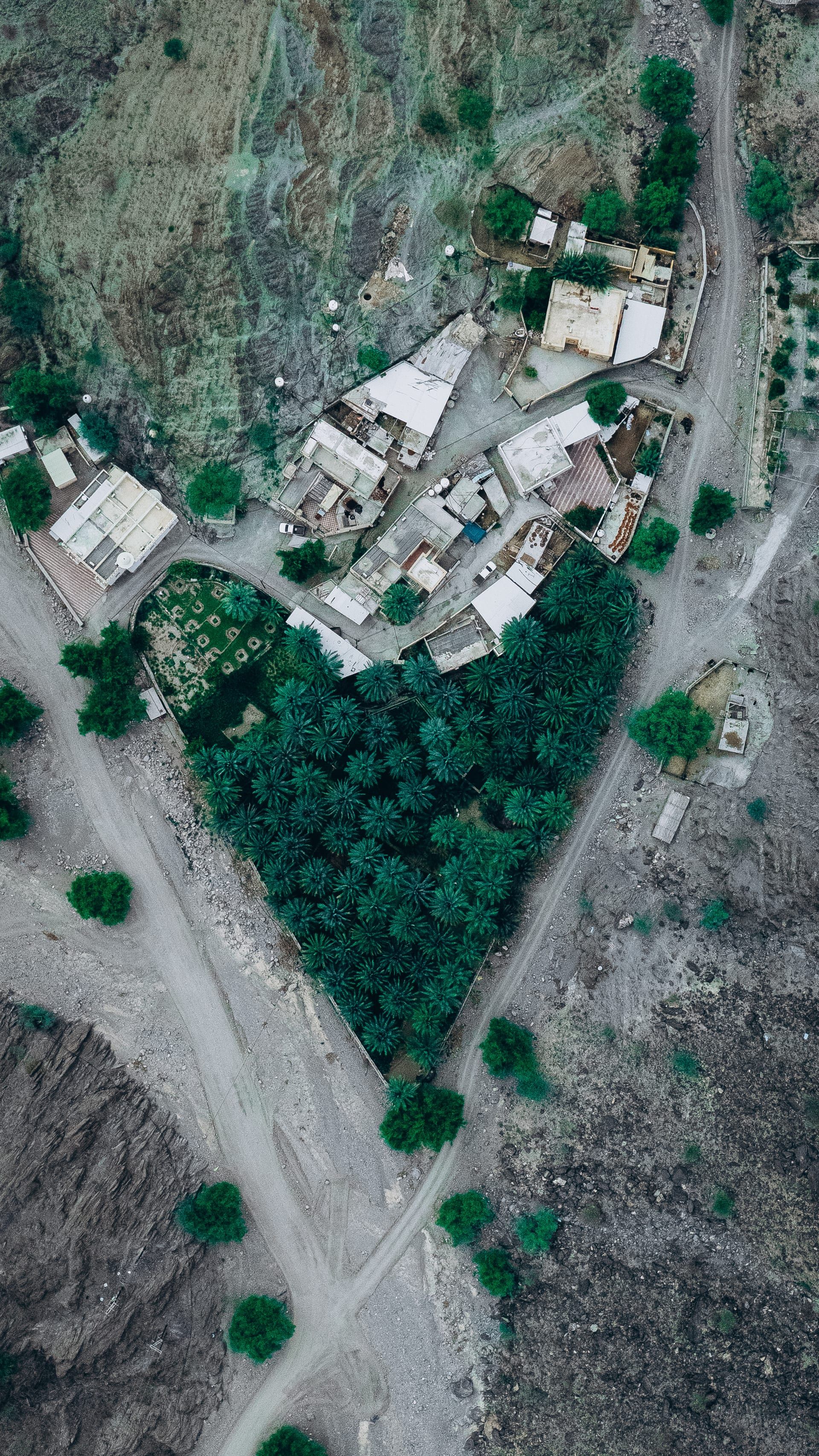 سلطنة عمان