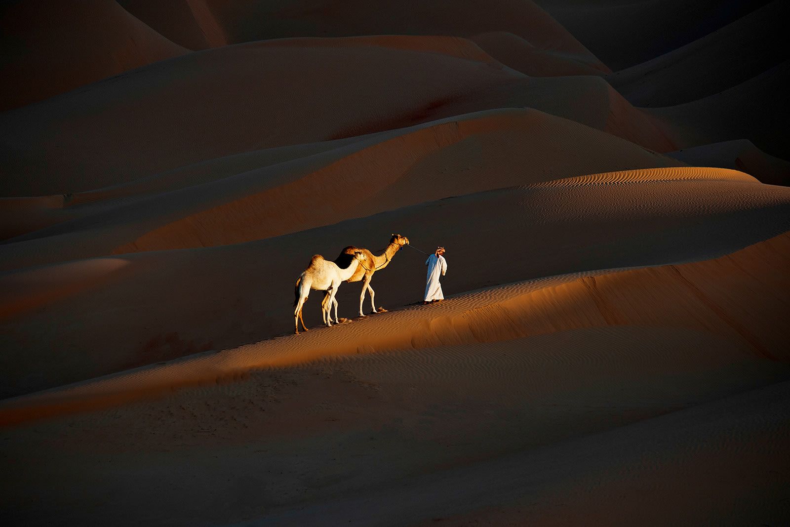أبوظبي