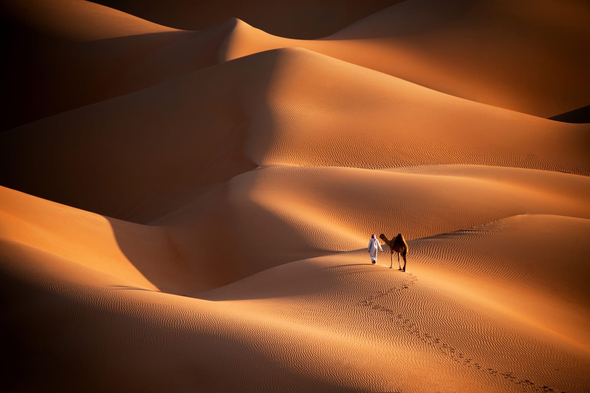 أبوظبي