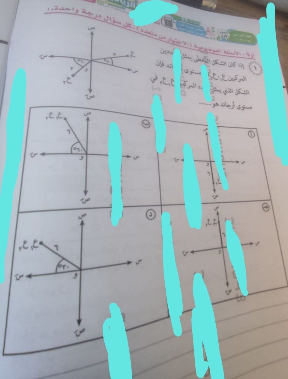 6572206762.jpg