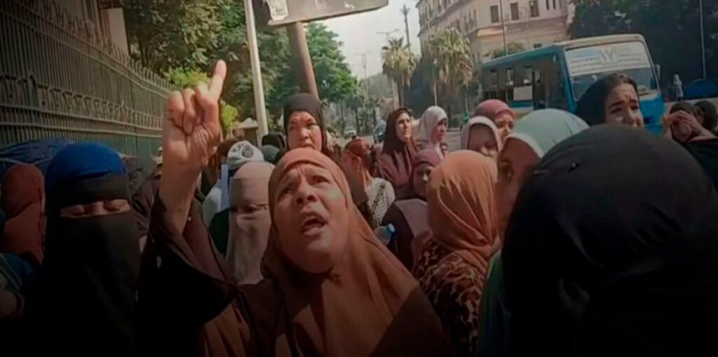 عمال وزارة الزراعة في المنيا