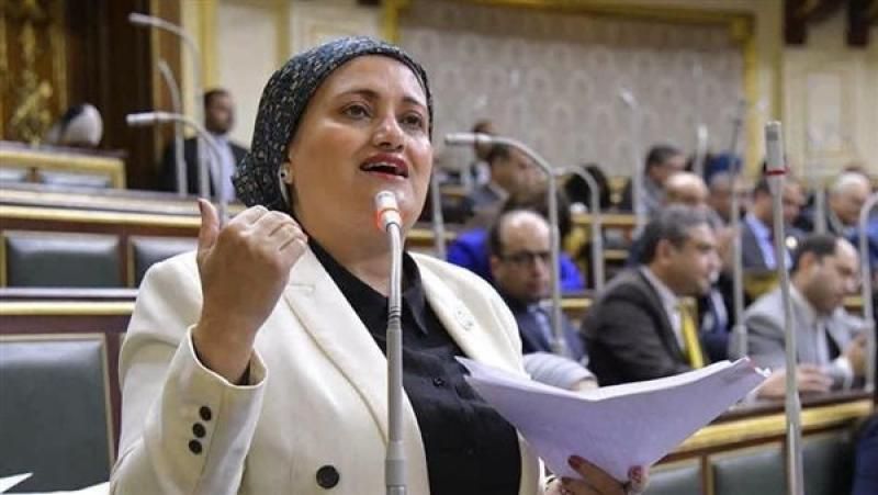 عنوان: سناء السعيد تطالب بفحص الذمة المالية للنواب