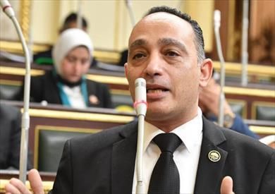 النائب فريدي البياضي