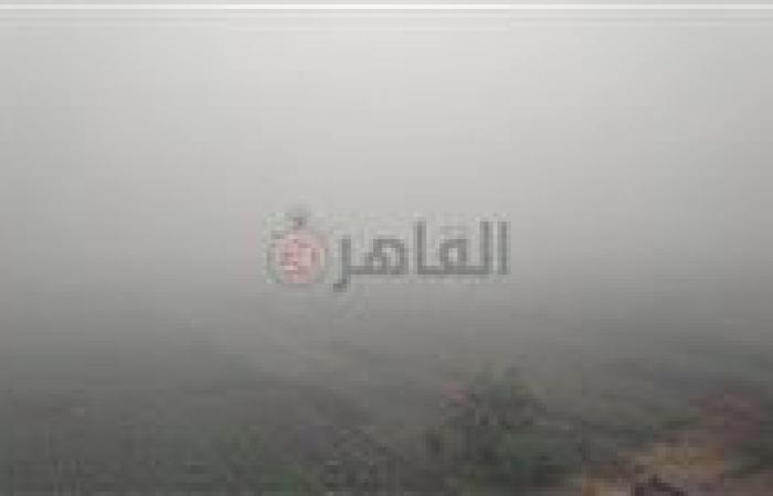 بالبلدي : حالة الطقس في مصر خلال الـ 6 أيام المقبلة.. مائل للحرارة نهارًا وشبورة مائية صباحًا