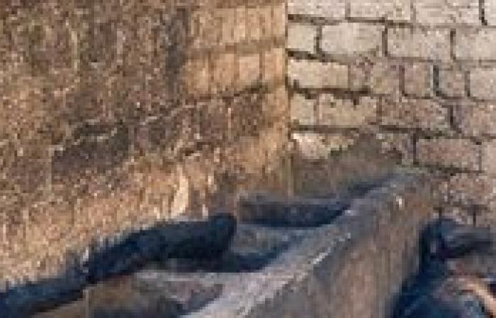 بالبلدي : نفوق
      رأسي
      ماشية
      في
      حريق
      3
      أحواش
      بسوهاج