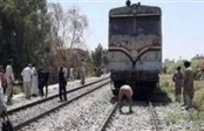 بالبلدي : مصرع
      طالب
      صدمه
      قطار
      أمام
      مزلقان
      تزمنت
      الشرقية
      في
      بني
      سويف