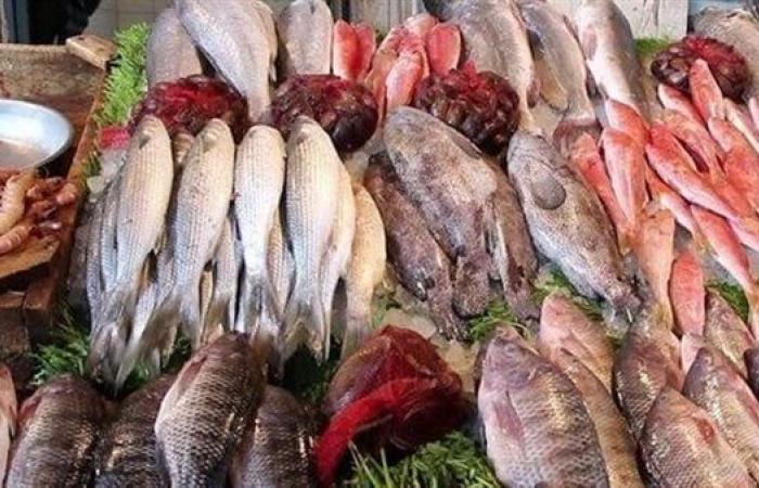 بالبلدي: أسعار
      الأسماك
      والجمبري
      اليوم
      الجمعة
      18
      سبتمبر
      2026..
      البلطي
      بكام
      في
      الأسواق؟