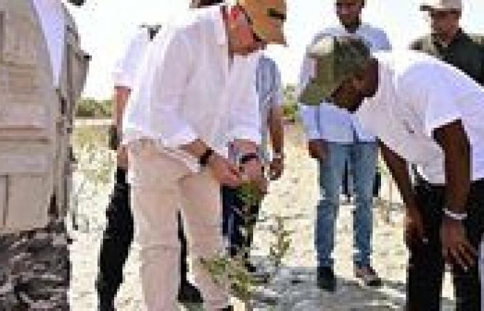 بالبلدي: وزير
      الري
      جهود
      زراعة
      واستعادة
      أشجار
      المانجروف
      بمنطقة
      حماطة
      بمحافظة
      البحر
      الأحمر