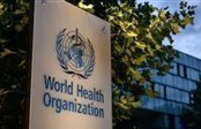 بالبلدي: الصحة
      العالمية:
      لا
      نمتلك
      لقاحات
      للإيبولا
      حاليا
      وسنجري
      تجارب
      سريرية
      قريبا