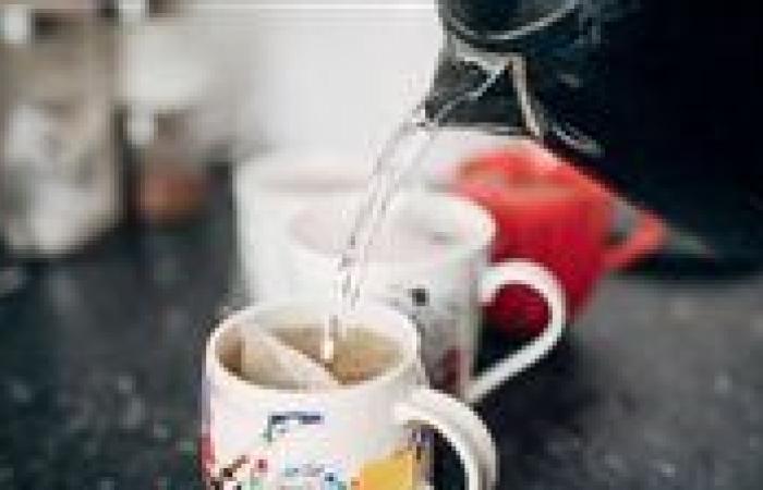 بالبلدي: علميًا..
      كيف
      يؤثر
      الشاي
      على
      امتصاص
      الحديد؟