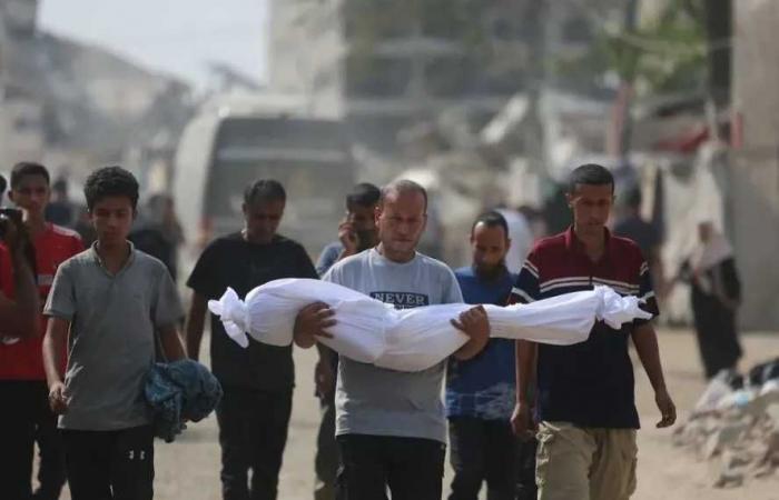 صحة
      غزة:
      3
      شهداء
      و21
      إصابة
      جراء
      عدوان
      الاحتلال
      على
      غزة
      آخر
      24
      ساعة