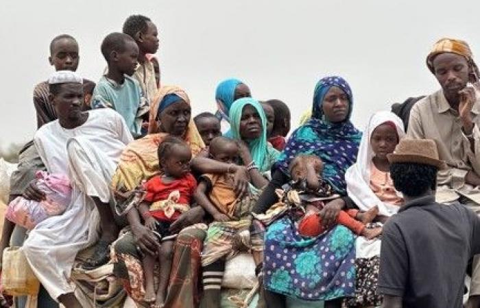 بالبلدي: المنظمات
      الحقوقية
      تكشف
      التورط
      الإماراتي
      بالحرب
      السودانية
      والتواطؤ
      الدولي