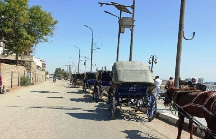 بالبلدي : محافظ
      أسوان
      يوجه
      بتنظيم
      عربات
      الحنطور
      بإدفو..
      أكواد
      موحدة
      ومنع
      قيادة
      الأطفال