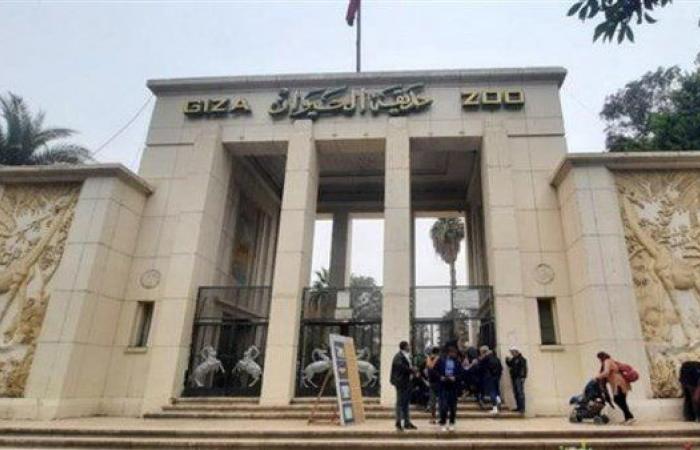 بالبلدي: حديقة
      حيوان
      الجيزة
      تستعد
      لمرحلة
      جديدة..
      تفاصيل
      التطوير
      وعودة
      الزوار