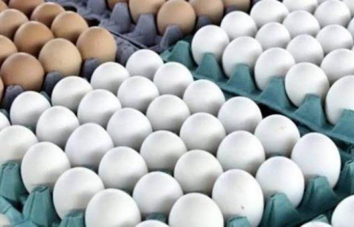 بالبلدي: ارتفاع
      أسعار
      البيض
      اليوم
      السبت
      في
      مصر..
      الكرتونة
      تصل
      إلى
      150
      جنيهًا
      للمستهلك