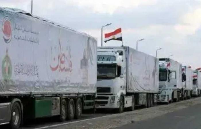الهلال
      الأحمر
      المصري
      يطلق
      قافلة
      «زاد
      العزة»
      رقم
      284
      إلى
      غزة
      بـ2794
      طنًا
      من
      المساعدات