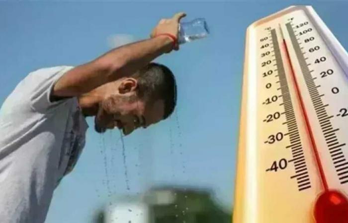 تعرف
      على
      طقس
      الثلاثاء..
      شبورة
      وأمطار
      خفيفة
      وحرارة
      تصل
      لـ40
      درجة