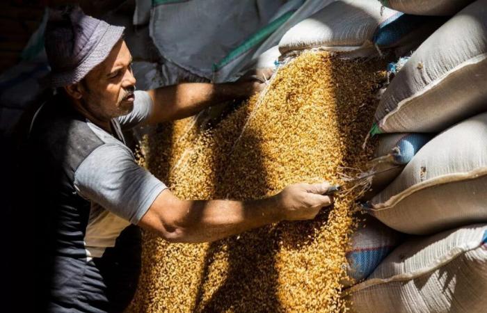 بالبلدي: الاقتصاد
      في
      أسبوع:
      10
      مليارات
      للمصانع
      المتعثرة..
      مطلب
      جديد
      لصندوق
      النقد..
      طرح
      45%
      من
      بنك
      القاهرة