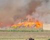 بالبلدي : حريق هائل في شونة كتان بطنطا.. والدفع بـ10 سيارات إطفاء| صور