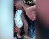 belbalady شاهد لحظة العثور على جليسة أطفال برفقة فتاتين صغيرتين يُزعم أنها اختطفتهما