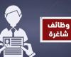 بالبلدي: دفعة
      وظائف
      جديدة
      للشباب..
      1489
      فرصة
      عمل
      بـ
      41
      شركة
      في
      13
      محافظة