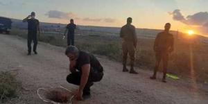 بالبلدي: بحثًا عن الأسرى الستة.. قوات إسرائيلية تقتحم سهل عرابة في جنين