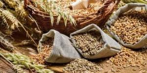 بالبلدي: العراق
      يخطط
      لمخزون
      استراتيجي
      من
      القمح
      تجنباً
      لأزمة
      غذائية