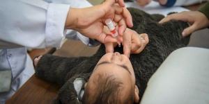 بالبلدي: الصحة
      المصرية
      تطعيم
      16
      مليونا
      و223
      ألف
      طفل
      ضد
      مرض
      شلل
      الأطفال
